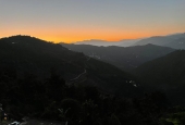 IIP Online Student Photography